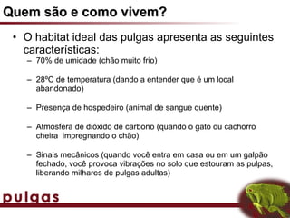 Quem são e como vivem?
 • O habitat ideal das pulgas apresenta as seguintes
   características:
   – 70% de umidade (chão muito frio)

   – 28ºC de temperatura (dando a entender que é um local
     abandonado)

   – Presença de hospedeiro (animal de sangue quente)

   – Atmosfera de dióxido de carbono (quando o gato ou cachorro
     cheira impregnando o chão)

   – Sinais mecânicos (quando você entra em casa ou em um galpão
     fechado, você provoca vibrações no solo que estouram as pulpas,
     liberando milhares de pulgas adultas)
 