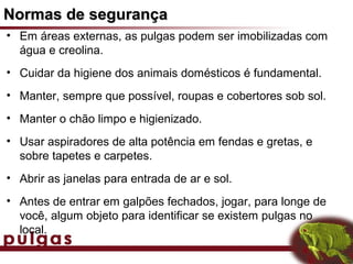 Normas de segurança
• Em áreas externas, as pulgas podem ser imobilizadas com
  água e creolina.
• Cuidar da higiene dos animais domésticos é fundamental.
• Manter, sempre que possível, roupas e cobertores sob sol.
• Manter o chão limpo e higienizado.
• Usar aspiradores de alta potência em fendas e gretas, e
  sobre tapetes e carpetes.
• Abrir as janelas para entrada de ar e sol.
• Antes de entrar em galpões fechados, jogar, para longe de
  você, algum objeto para identificar se existem pulgas no
  local.
 