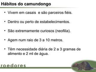 Hábitos do camundongo
 • Vivem em casais e são parceiros fiéis.

 • Dentro ou perto de estabelecimentos.

 • São extremamente curiosos (neofilia).

 • Agem num raio de 3 a 10 metros.

 • Têm necessidade diária de 2 a 3 gramas de
   alimento e 2 ml de água.
 