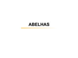 ABELHAS
 