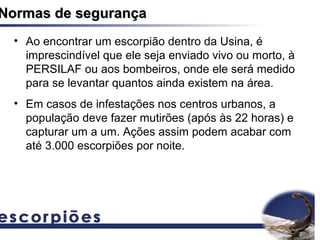 Normas de segurança
  • Ao encontrar um escorpião dentro da Usina, é
    imprescindível que ele seja enviado vivo ou morto, à
    PERSILAF ou aos bombeiros, onde ele será medido
    para se levantar quantos ainda existem na área.
  • Em casos de infestações nos centros urbanos, a
    população deve fazer mutirões (após às 22 horas) e
    capturar um a um. Ações assim podem acabar com
    até 3.000 escorpiões por noite.
 