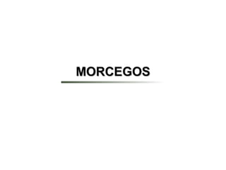 MORCEGOS
 