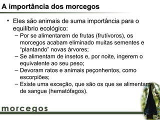 A importância dos morcegos
 • Eles são animais de suma importância para o
   equilíbrio ecológico:
   – Por se alimentarem de frutas (frutívoros), os
     morcegos acabam eliminado muitas sementes e
     “plantando” novas árvores;
   – Se alimentam de insetos e, por noite, ingerem o
     equivalente ao seu peso;
   – Devoram ratos e animais peçonhentos, como
     escorpiões;
   – Existe uma exceção, que são os que se alimentam
     de sangue (hematófagos).
 