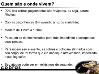 Quem são e onde vivem?
• 90% das cobras peçonhentas são vivíperas, ou seja, parem
  filhotes;

• Cobras peçonhentas têm aversão à luz ou claridade;

• Medem de 1,20m a 1,30m;

• Possuem os dentes voltados para trás, impedindo o escape das
  suas presas;

• Para ingerir seu alimento, as cobras o colocam alinhados com
  seu corpo, de tal forma que ele não fique atravessado, impedindo
  a sua ingestão;

• Seu ataque pode ser em milésimos de segundo;
 
