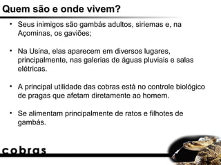 Quem são e onde vivem?
 • Seus inimigos são gambás adultos, siriemas e, na
   Açominas, os gaviões;

 • Na Usina, elas aparecem em diversos lugares,
   principalmente, nas galerias de águas pluviais e salas
   elétricas.

 • A principal utilidade das cobras está no controle biológico
   de pragas que afetam diretamente ao homem.

 • Se alimentam principalmente de ratos e filhotes de
   gambás.
 