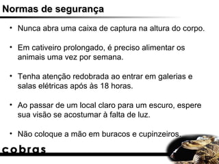 Normas de segurança
 • Nunca abra uma caixa de captura na altura do corpo.

 • Em cativeiro prolongado, é preciso alimentar os
   animais uma vez por semana.

 • Tenha atenção redobrada ao entrar em galerias e
   salas elétricas após às 18 horas.

 • Ao passar de um local claro para um escuro, espere
   sua visão se acostumar à falta de luz.

 • Não coloque a mão em buracos e cupinzeiros.
 