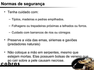 Normas de segurança
 • Tenha cuidado com:

   – Tijolos, madeiras e pedras empilhados.

   – Folhagens ou trepadeiras próximas a telhados ou forros.

   – Cuidado com barrancos de rios ou córregos

 • Preserve a vida das emas, siriemas e gaviões
   (predadores naturais)

 • Não coloque a mão em serpentes, mesmo que
   estejam mortas. Elas possuem bolsas de veneno que
   ao cair sobre a pele causam necrose.
 