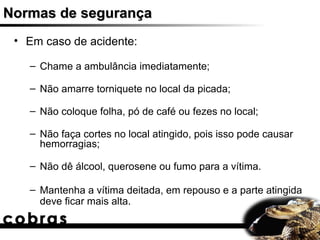Normas de segurança
 • Em caso de acidente:

   – Chame a ambulância imediatamente;

   – Não amarre torniquete no local da picada;

   – Não coloque folha, pó de café ou fezes no local;

   – Não faça cortes no local atingido, pois isso pode causar
     hemorragias;

   – Não dê álcool, querosene ou fumo para a vítima.

   – Mantenha a vítima deitada, em repouso e a parte atingida
     deve ficar mais alta.
 