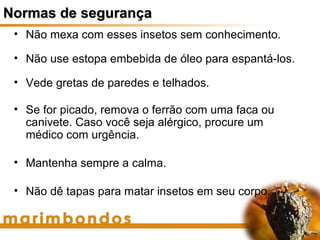 Normas de segurança
 • Não mexa com esses insetos sem conhecimento.

 • Não use estopa embebida de óleo para espantá-los.

 • Vede gretas de paredes e telhados.

 • Se for picado, remova o ferrão com uma faca ou
   canivete. Caso você seja alérgico, procure um
   médico com urgência.

 • Mantenha sempre a calma.

 • Não dê tapas para matar insetos em seu corpo.
 