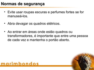 Normas de segurança
 • Evite usar roupas escuras e perfumes fortes se for
   manuseá-los.

 • Abra devagar os quadros elétricos.

 • Ao entrar em áreas onde estão quadros ou
   transformadores, é importante que entre uma pessoa
   de cada vez e mantenha o portão aberto.
 
