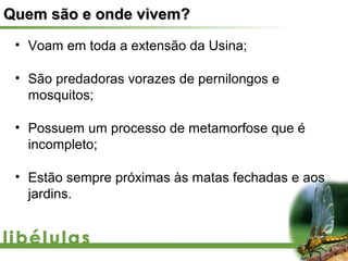 Quem são e onde vivem?
 • Voam em toda a extensão da Usina;

 • São predadoras vorazes de pernilongos e
   mosquitos;

 • Possuem um processo de metamorfose que é
   incompleto;

 • Estão sempre próximas às matas fechadas e aos
   jardins.
 