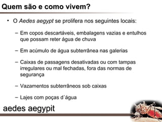 Quem são e como vivem?
 • O Aedes aegypt se prolifera nos seguintes locais:

    – Em copos descartáveis, embalagens vazias e entulhos
      que possam reter água de chuva

    – Em acúmulo de água subterrânea nas galerias

    – Caixas de passagens desativadas ou com tampas
      irregulares ou mal fechadas, fora das normas de
      segurança

    – Vazamentos subterrâneos sob caixas

    – Lajes com poças d´água

aedes aegypit
 