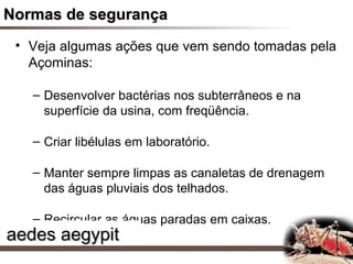 Normas de segurança
 • Veja algumas ações que vem sendo tomadas pela
   Açominas:

   – Desenvolver bactérias nos subterrâneos e na
     superfície da usina, com freqüência.

   – Criar libélulas em laboratório.

   – Manter sempre limpas as canaletas de drenagem
     das águas pluviais dos telhados.

   – Recircular as águas paradas em caixas.
aedes aegypit
 