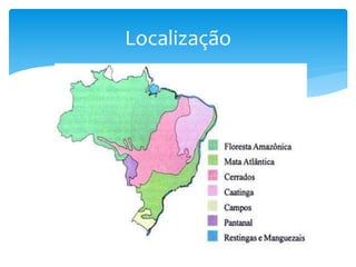 Localização
 