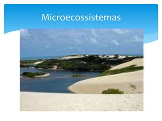 Microecossistemas
 