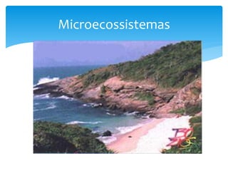 Microecossistemas
 