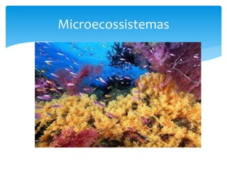 Microecossistemas
 