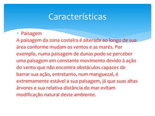  Paisagem
A paisagem da zona costeira é alterada ao longo de sua
área conforme mudam os ventos e as marés. Por
exemplo, numa paisagem de dunas pode-se perceber
uma paisagem em constante movimento devido à ação
do vento que não encontra obstáculos capazes de
barrar sua ação, entretanto, num manguezal, é
extremamente estável a sua paisagem, já que suas altas
árvores e sua relativa distância do mar evitam
modificação natural deste ambiente.
Características
 