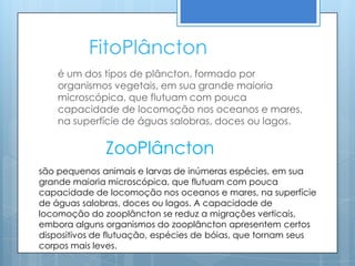 FitoPlâncton
    é um dos tipos de plâncton, formado por
    organismos vegetais, em sua grande maioria
    microscópica, que flutuam com pouca
    capacidade de locomoção nos oceanos e mares,
    na superfície de águas salobras, doces ou lagos.

              ZooPlâncton
são pequenos animais e larvas de inúmeras espécies, em sua
grande maioria microscópica, que flutuam com pouca
capacidade de locomoção nos oceanos e mares, na superfície
de águas salobras, doces ou lagos. A capacidade de
locomoção do zooplâncton se reduz a migrações verticais,
embora alguns organismos do zooplâncton apresentem certos
dispositivos de flutuação, espécies de bóias, que tornam seus
corpos mais leves.
 