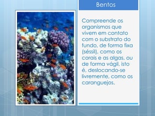 Bentos

Compreende os
organismos que
vivem em contato
com o substrato do
fundo, de forma fixa
(séssil), como os
corais e as algas, ou
de forma vágil, isto
é, deslocando-se
livremente, como os
caranguejos.
 