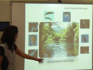 Ecossistema ribeirinho