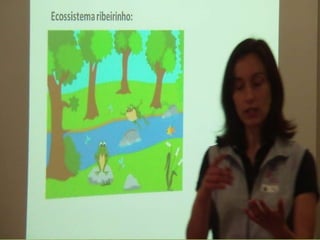 Ecossistema ribeirinho