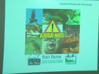 Ecossistema ribeirinho