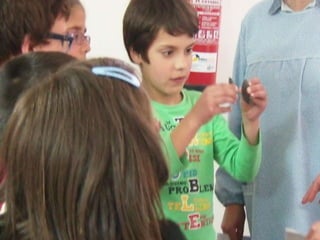 Ecossistema ribeirinho