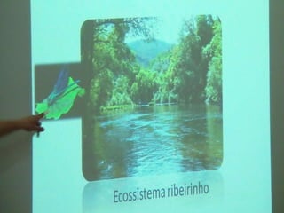 Ecossistema ribeirinho