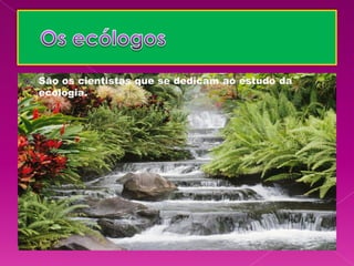    São os cientistas que se dedicam ao estudo da
    ecologia.
 