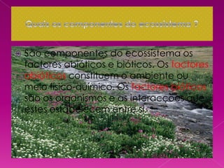    São componentes do ecossistema os
    factores abióticos e bióticos. Os factores
    abióticos constituem o ambiente ou
    meio físico-químico. Os factores bióticos
    são os organismos e as interacções que
    estes estabelecem entre si.
 
