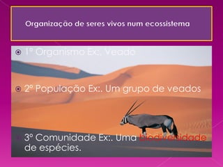    1º Organismo Ex:. Veado


   2º População Ex:. Um grupo de veados




   3º Comunidade Ex:. Uma biodiversidade
    de espécies.
 