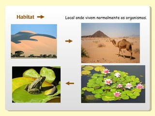 Habitat Local onde vivem normalmente os organismos. 