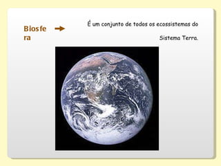 Biosfera É um conjunto de todos os ecossistemas do Sistema Terra. 