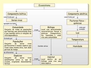 Ecossistema Componente biótica Seres vivos Comunidade Conjunto de todas as populações que habitam uma determinada área e que mantêm entre si relações de interdependência Populações Conjunto de seres vivos pertencentes à mesma espécie que vivem numa mesma área, num dado período de tempo. Biótopo Local com determinadas características físicas e químicas (temperatura, luz, humidade,…), onde vive uma comunidade Espécies Conjunto de seres vivos semelhantes entre si, que se cruzam, originando descendentes férteis constituída por agrupam-se numa formada por de diferentes ocupa ocupa Habitat Local dentro de um biótopo onde vive uma dada espécie Contém vários Componente abiótica constituída por Factores físico - químicos como por exemplo Luz Temperatura Humidade 