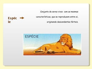 Espécie Conjunto de seres vivos  com as mesmas características, que se reproduzem entre si, originando descendentes férteis. 
