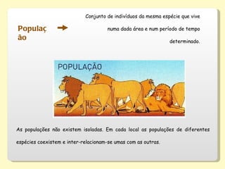 População Conjunto de indivíduos da mesma espécie que vive numa dada área e num período de tempo determinado. As populações não existem isoladas. Em cada local as populações de diferentes espécies coexistem e inter-relacionam-se umas com as outras. 