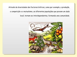 Através da diversidade dos factores bióticos, como por exemplo, a predação, a competição e o mutualismo, as diferentes populações que povoam um dado local, tornam-se interdependentes, formando uma comunidade. 