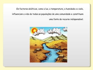 Os factores abióticos, como a luz, a temperatura, a humidade e o solo, influenciam a vida de todas as populações de uma comunidade e constituem uma fonte de recurso indispensável. 