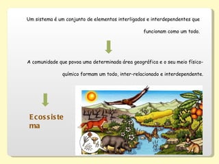 Um sistema é um conjunto de elementos interligados e interdependentes que funcionam como um todo. A comunidade que povoa uma determinada área geográfica e o seu meio físico-químico formam um todo, inter-relacionado e interdependente. Ecossistema 