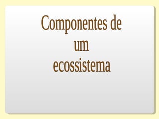Componentes de  um  ecossistema 