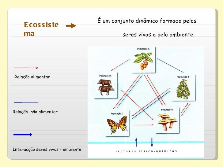 Unitau Sp O Conjunto De Todos Os Ecossistemas Forma