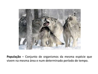 População – Conjunto de organismos da mesma espécie que
vivem na mesma área e num determinado período de tempo.
 