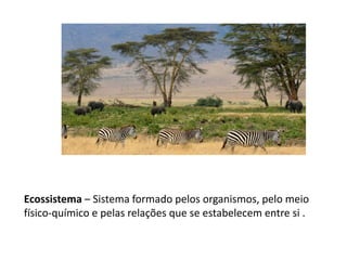Ecossistema – Sistema formado pelos organismos, pelo meio
físico-químico e pelas relações que se estabelecem entre si .
 
