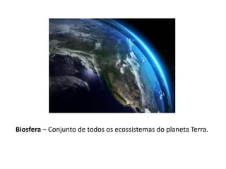 Biosfera – Conjunto de todos os ecossistemas do planeta Terra.
 