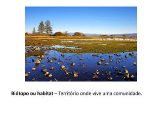 Biótopo ou habitat – Território onde vive uma comunidade.
 