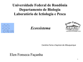 Universidade Federal de Rondônia
     Departamento de Biologia
  Laboratório de Ictiologia e Pesca


            Ecossistema



                   Caroline Faria e Saymon de Albuquerque



Elen Fonseca Façanha
                                                            1
 