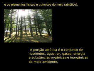 e os elementos físicos e químicos do meio (abiótico).
A porção abiótica é o conjunto de
nutrientes, água, ar, gases, energia
e substâncias orgânicas e inorgânicas
do meio ambiente.
 