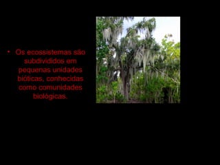 • Os ecossistemas são
subdivididos em
pequenas unidades
bióticas, conhecidas
como comunidades
biológicas.
 