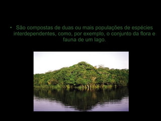 • São compostas de duas ou mais populações de espécies
interdependentes, como, por exemplo, o conjunto da flora e
fauna de um lago.
 